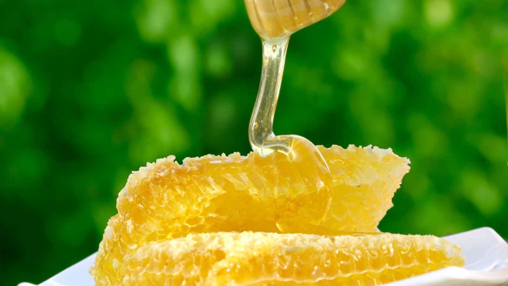 דבש עין חרוד