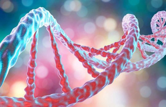 dna data interpretation2