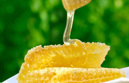 דבש עין חרוד2